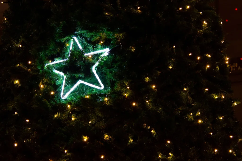 a lighted christmas tree with a star on it