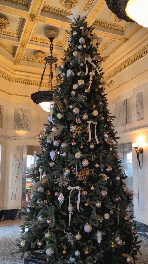 The magic of the season has officially arrived at 