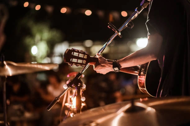 a person playing a musical instrument in front of a crowd